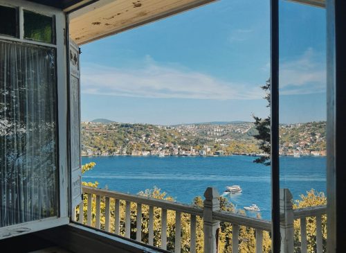 Window replacement Tremé New Orleans